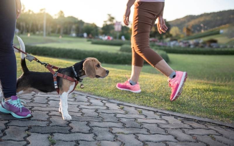 walking