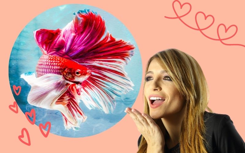 コロナ禍で人気上昇 なつく魚をペットに Go Women Go