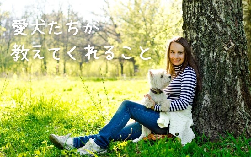 愛犬たちが-教えてくれること