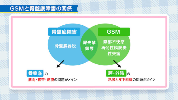 更年期　ホルモンの揺らぎ３