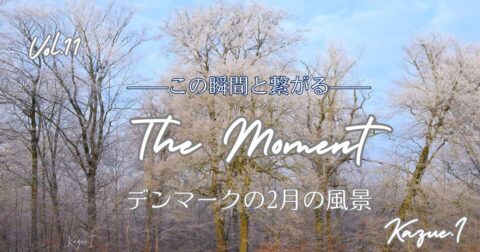 The Moment —この瞬間と繋がる—Vol.11「デンマークの2月の風景」