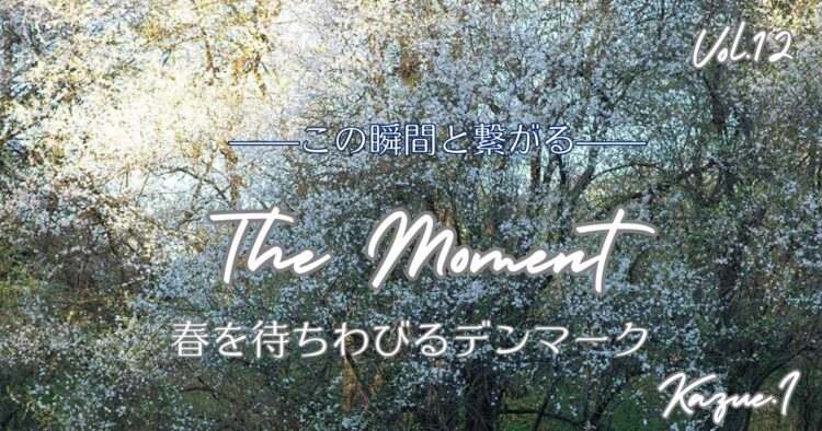 The Moment —この瞬間と繋がる—Vol.12「春を待ちわびるデンマーク」