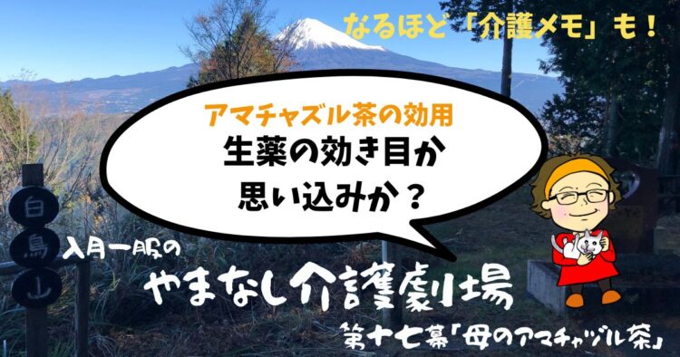 母のアマチャヅル茶