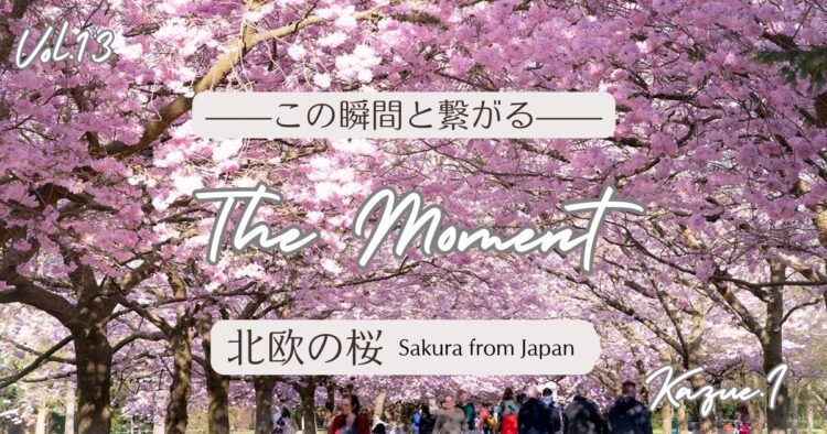 The Moment—この瞬間と繋がる—Vol.13「北欧の桜」