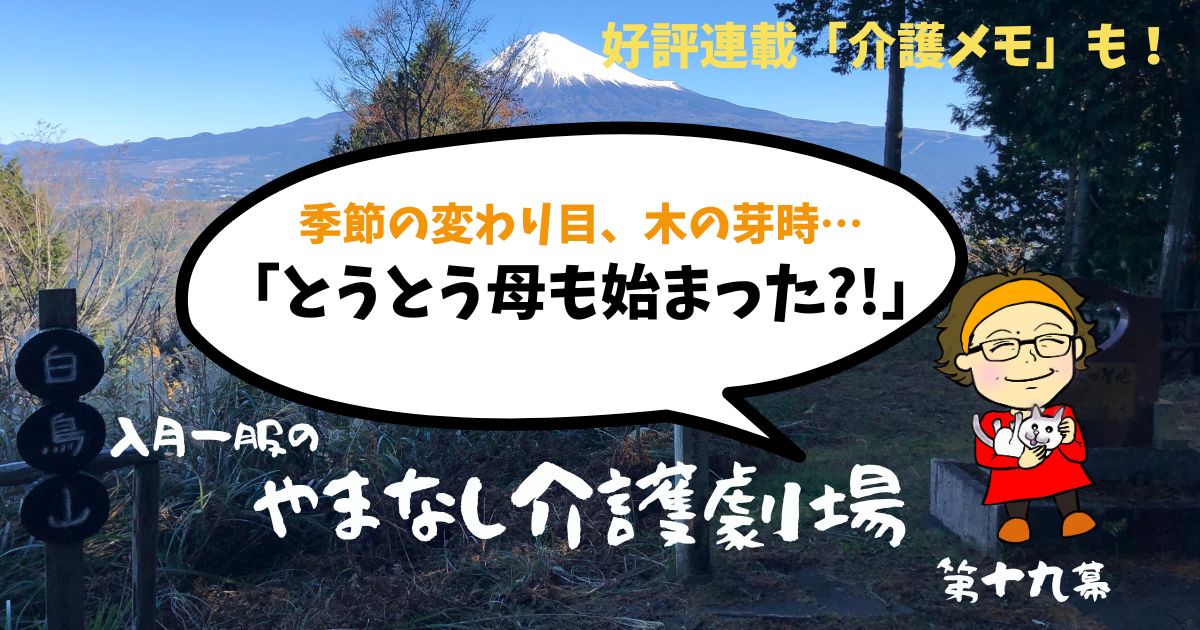 母の木の芽時